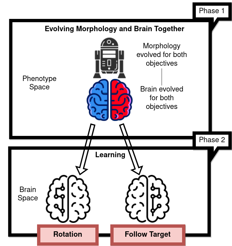 multibrain.png